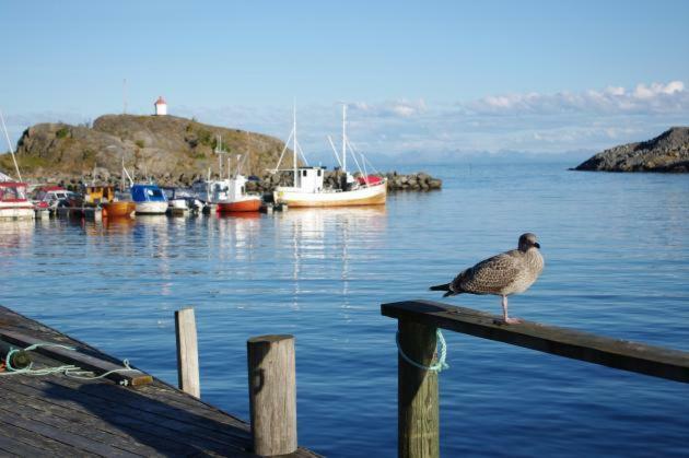 Lofoten Cabin And Kayak Rental 스탐순드 외부 사진